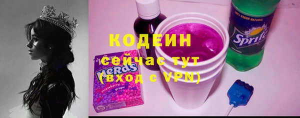 мет Бородино