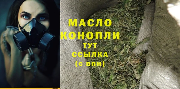 spice Богородицк